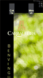 Mobile Screenshot of carballeira.net
